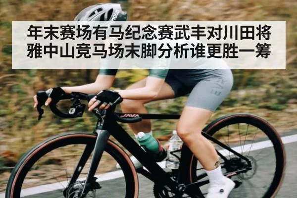 年末赛场有马纪念赛武丰对川田将雅中山竞马场末脚分析谁更胜一筹（ff sports）